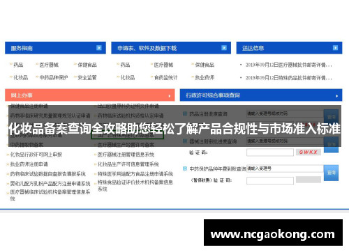 化妆品备案查询全攻略助您轻松了解产品合规性与市场准入标准