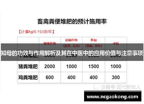 知母的功效与作用解析及其在中医中的应用价值与注意事项